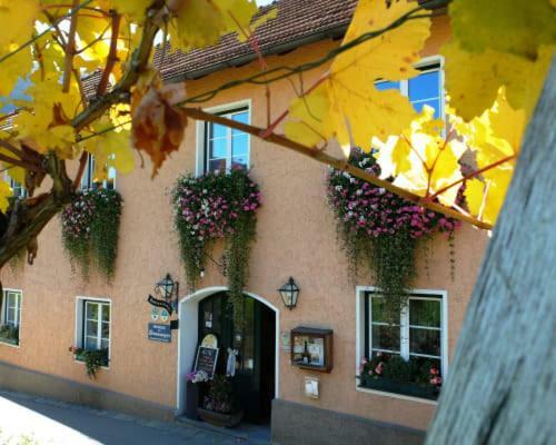 Weingut Donabaum "In Der Spitz" Apartment Spitz an der Donau Екстериор снимка